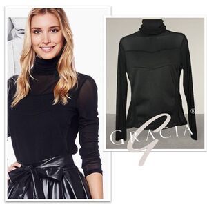 Gracia Turtleneck Sheer Top, Size Small